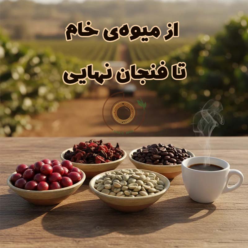 فرآوری قهوه