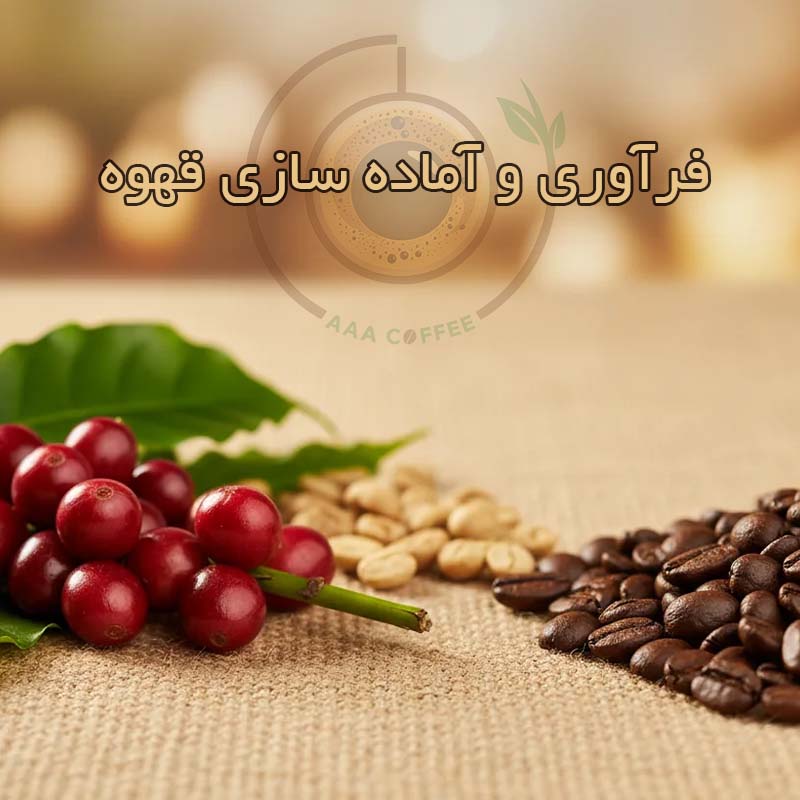 فرآوری قهوه