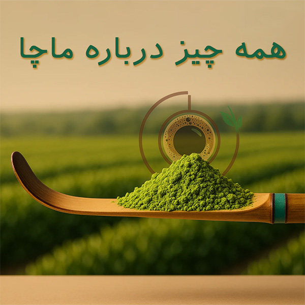 ماچا-خواص-سلامتی